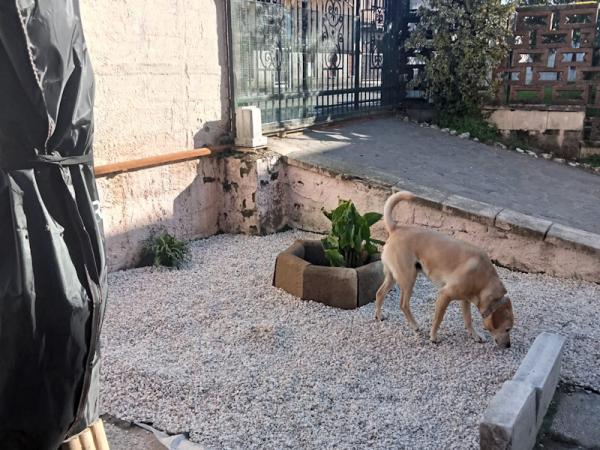 Giardino privato - Zerbolo' PV