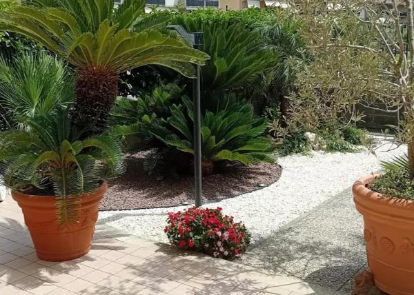 Lapillo vulcanico rosso - Formia