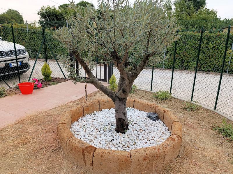 Vedi le altre foto - Aiuola Tufo Circolare Media Aiuola Tufo Circolare Media