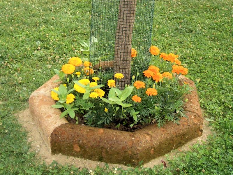 Vedi le altre foto - Aiuola Tufo Circolare Piccola Little Circular Flowerbed