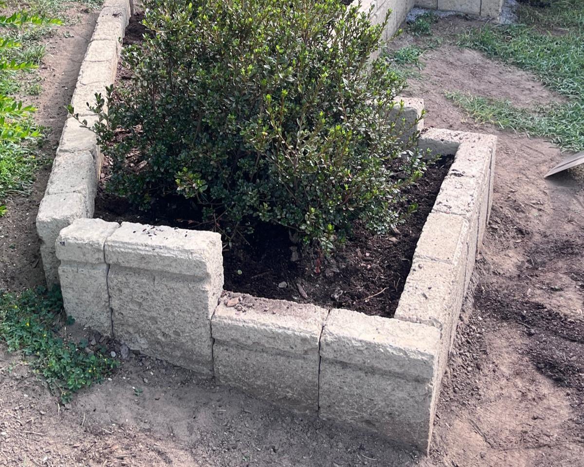 Border For Flower Bed  (cm 11)