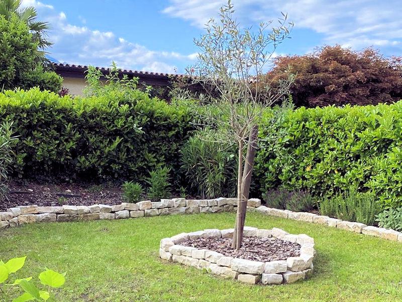 LISTELLO TRANI CM 8-10