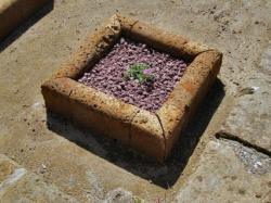 Little Square Flowerbed