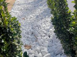 Cobble White Carrara 25 - 40 Mm